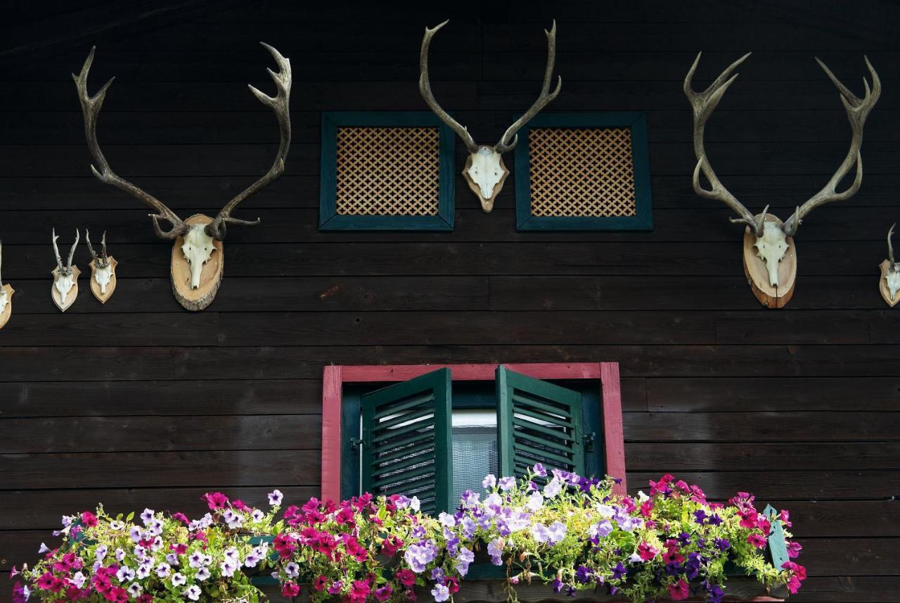 Angerer Alm Hotel St. Johann in Tirol Kültér fotó